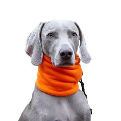 Hunde-Loop Fleece mit Halsband-Öffnung • orange