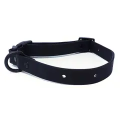 Wasserfestes Hundehalsband, verstellbar ☆ schwarz