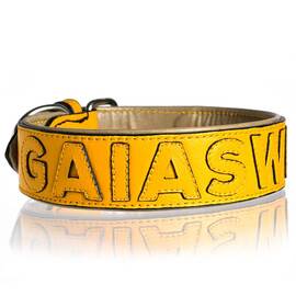 Personalisiertes Halsband aus Leder gelb, Schriftfarbe frei wählbar