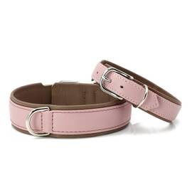 Hundehalsband aus Leder AMICI Rose • gepolstert