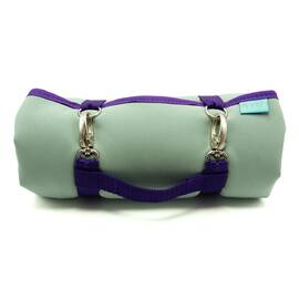 Dog'n'Roll ★ Frostgr&uuml;n - Lila