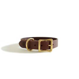 Premium Lederhalsband dunkelbraun "Chestnut"