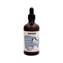 Magen-Tinktur für Hunde GastroWohl • 100ml