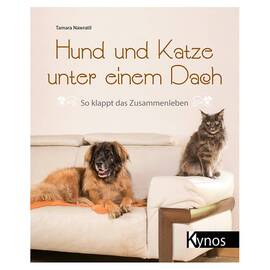 Hund und Katze unter einem Dach