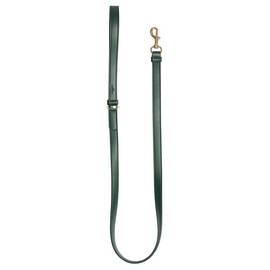 Vegane Hundeleine aus Apfelleder, grün • Cityleine CLASSY DARK GREEN GOLD