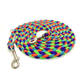 Paracord-Hundeleine, Retro-Farben