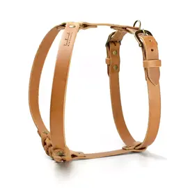 Hundegeschirr Maßanfertigung • Leder cognac