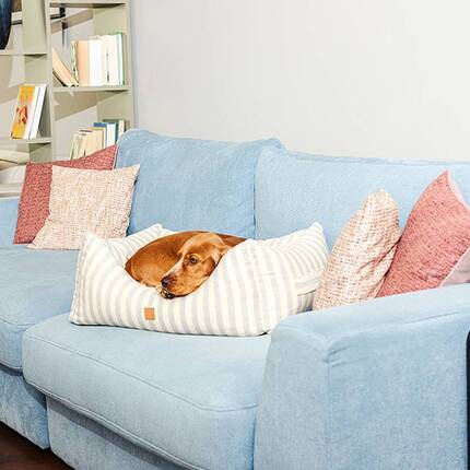 KSIIA Orthopdisches Katzenbett Flauschig 66x37cm Grau - Abnehmbar Waschbar  Katzensofa Hundebett Fr Kleine Hunde Mit Rckenlehne