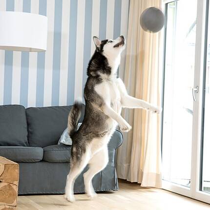 TOY BALL grau, waschbar bei 95°C