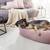 Hundebett mit Rand TUDOR von Laboni • rose