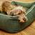 Orthopädisches Hundebett ECO OLIV • nachhaltig