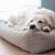 Hundebett Bouclé beige • Labbvenn BUKLAA light beige