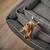Classic Hundebett ECO DUNKELGRAU • nachhaltig
