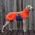 Fleece-Hundepullover orange • Theo & Emma 'Henry'