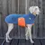Fleece-Hundepullover dunkelblau • Theo & Emma 'Henry'