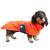 Dackel-Wintermantel, wasserdicht • Oskar Pumpkin Orange