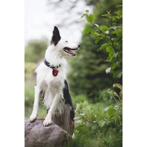 Markentasche Leder - blau