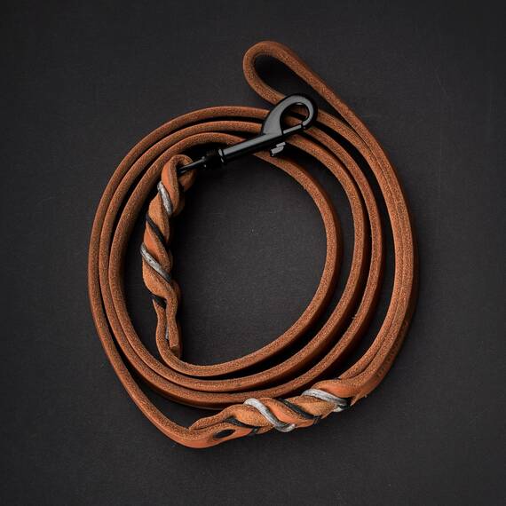 BRAIDY FOX - Lederleine mit Handschlaufe 150cm