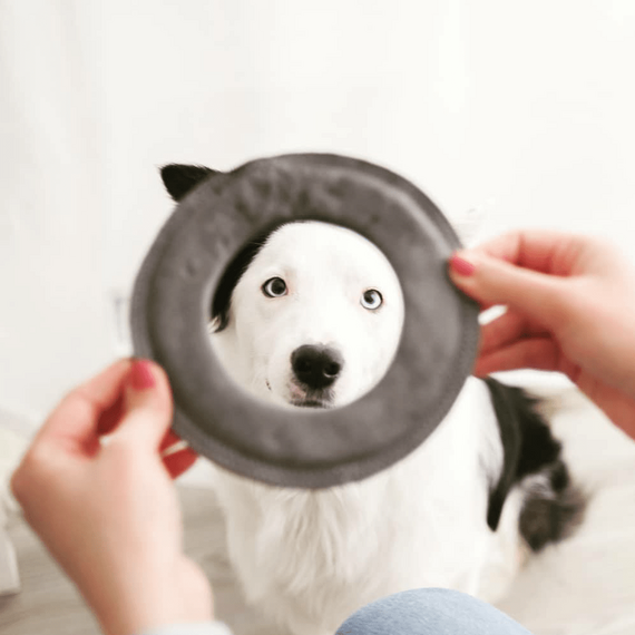 Wurfring aus Leder für Hunde - grau