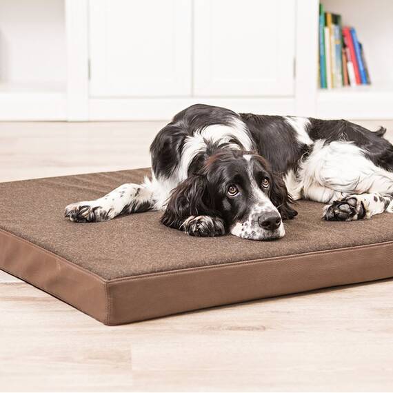 Hundekissen LODEN CLASSIC braun