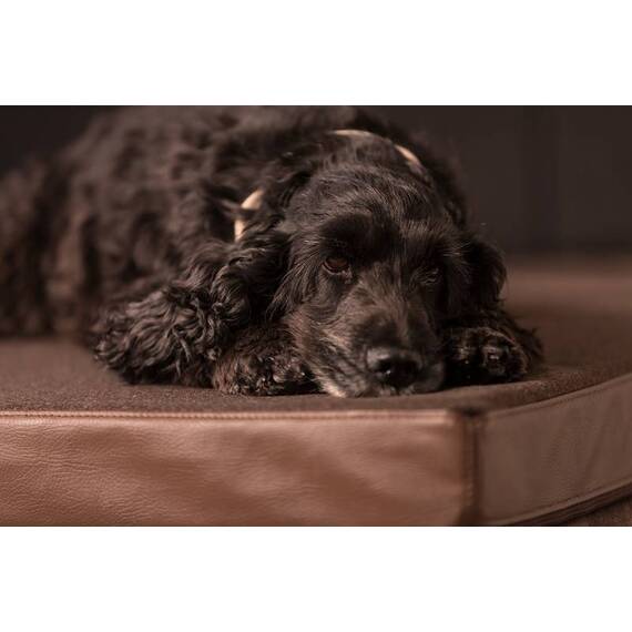 Hundekissen LODEN CLASSIC braun