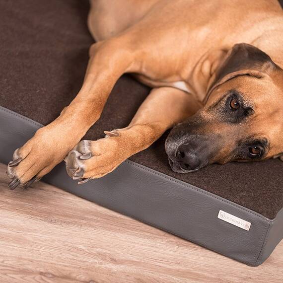 Hundekissen LODEN CLASSIC grau