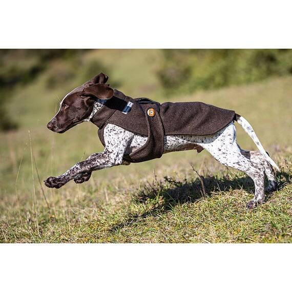 Loden-Hundemantel aus 100% Schurwolle