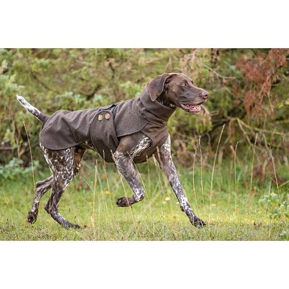 Loden-Hundemantel aus 100% Schurwolle