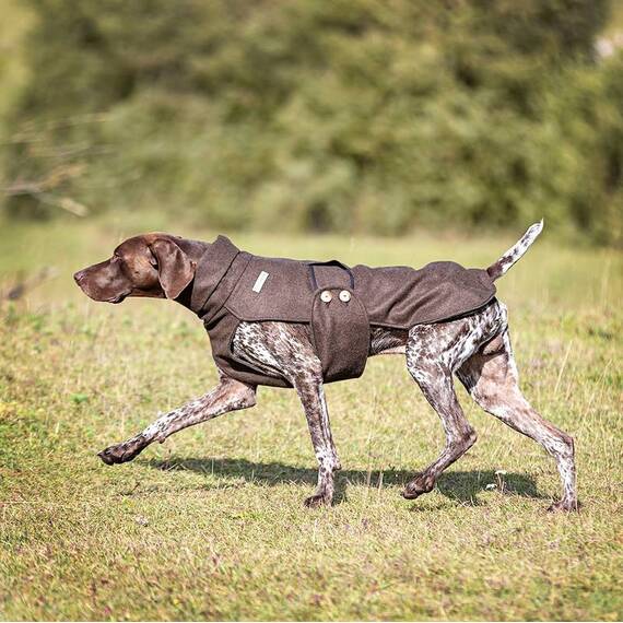 Loden-Hundemantel aus 100% Schurwolle
