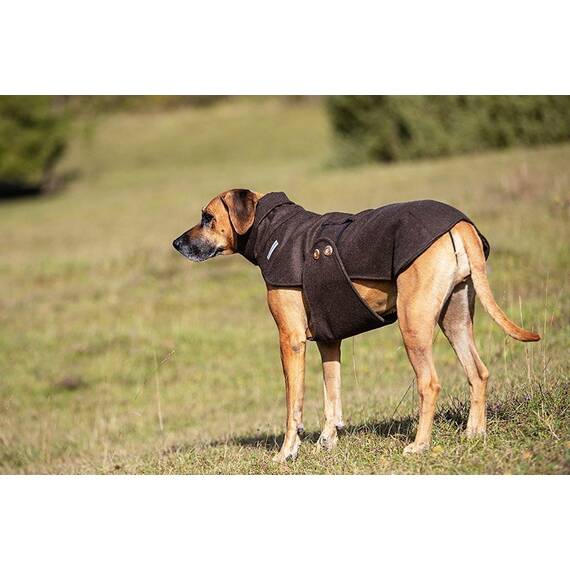 Loden-Hundemantel aus 100% Schurwolle