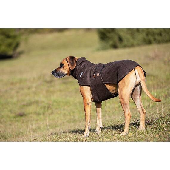 Loden-Hundemantel aus 100% Schurwolle