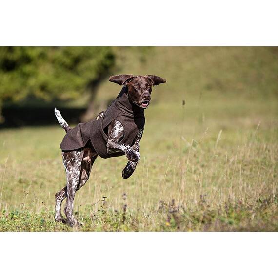Loden-Hundemantel aus 100% Schurwolle
