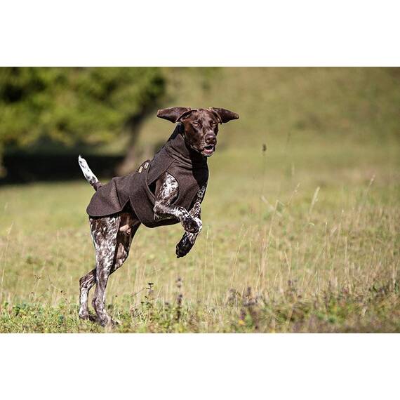 Loden-Hundemantel aus 100% Schurwolle