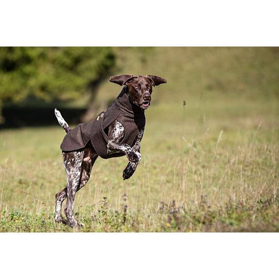 Loden-Hundemantel aus 100% Schurwolle