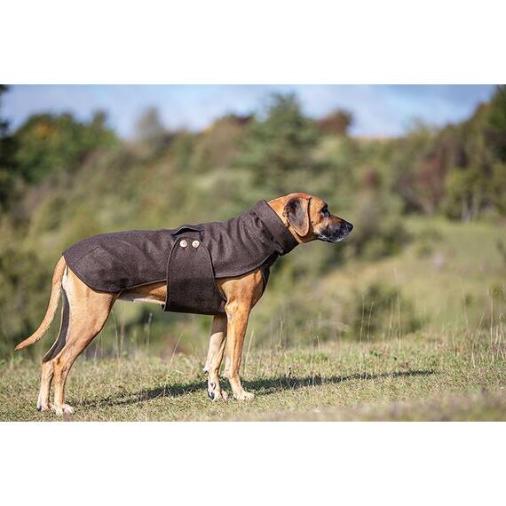 Loden-Hundemantel aus 100% Schurwolle