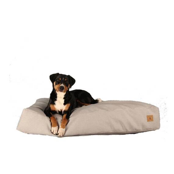 BUDDY. Hundebett hellgrau, Öko Bett für Hunde