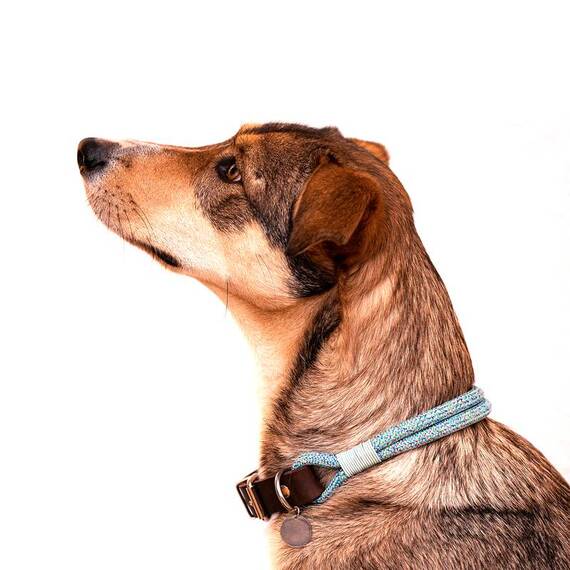 Halsband aus Tau und Leder Classic Olive