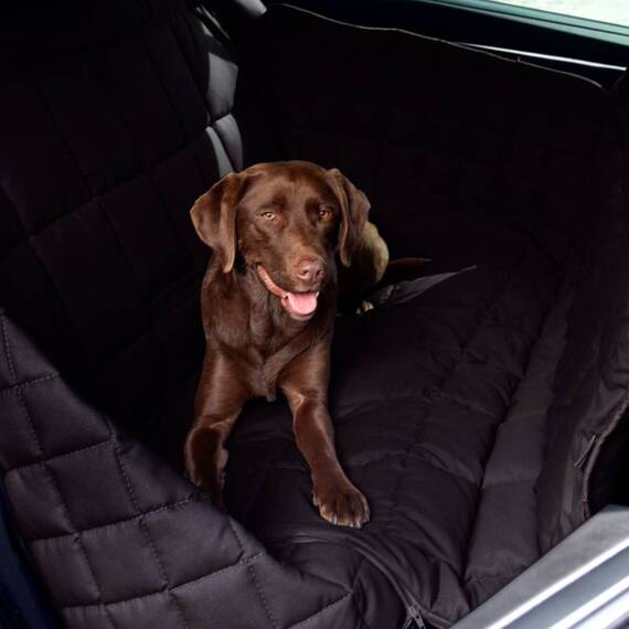 Hunde Autodecke für die Rückbank • 3 Sitze • schwarz