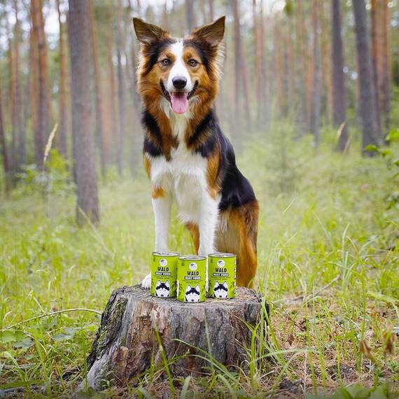 Insekten Nassfutter für Hunde WALD • Eat Small