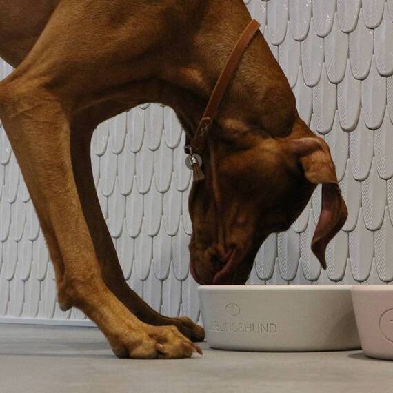 Hundenapf aus Keramik LIEBLINGSHUND grau | apfelgrün