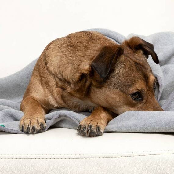 Kuscheldecke Fleece grau melange, waschbar bei 95°C