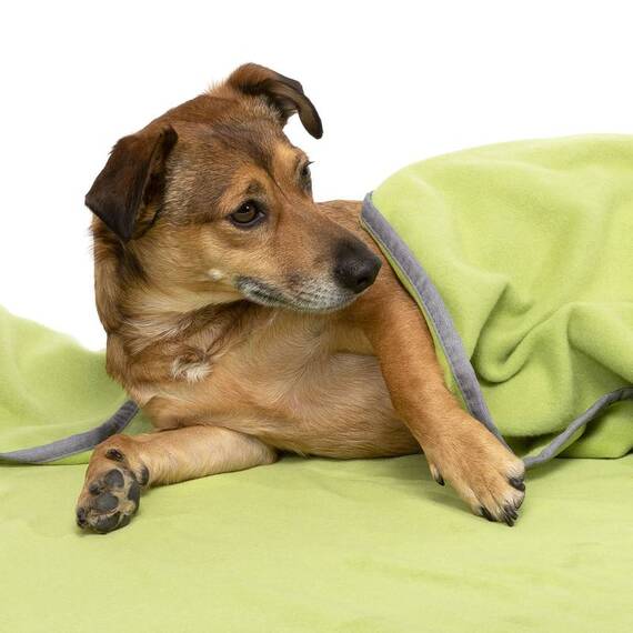 Kuscheldecke Fleece grasgrün, waschbar bei 95°C
