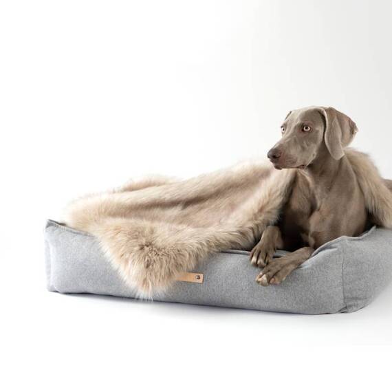 Labbvenn® Hundebett mit Rand MØVIK grey