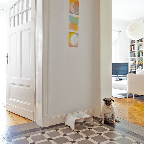 dogBar® Single M-small Nussbaum mit Porzellan