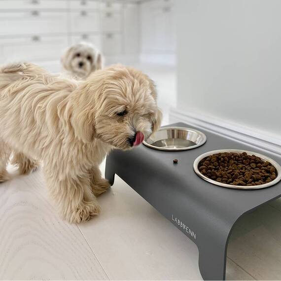 Labbvenn® Futterstation RICO grey