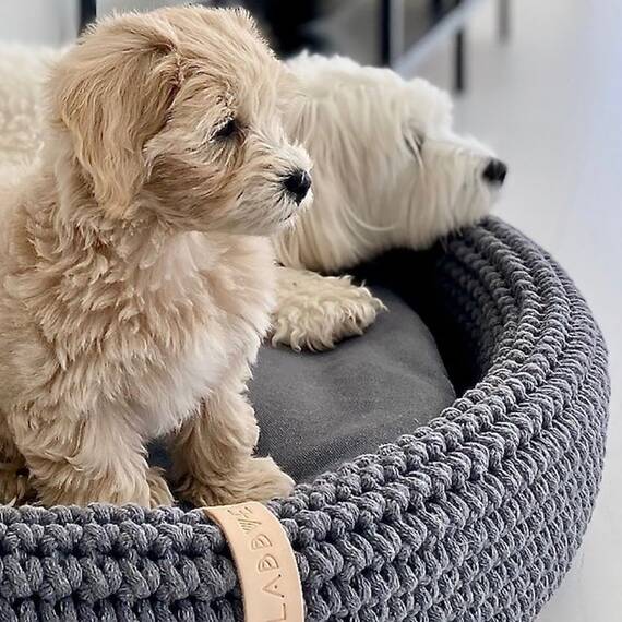 Labbvenn® LUKKO Hundebett anthrazit