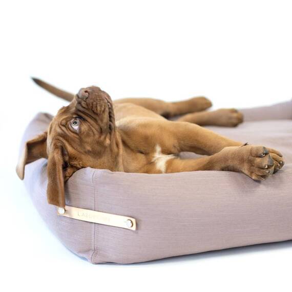 Labbvenn® Hundebett mit Rand STOKKE pink