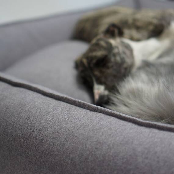 Labbvenn® Hundebett mit Rand MØVIK light anthracite