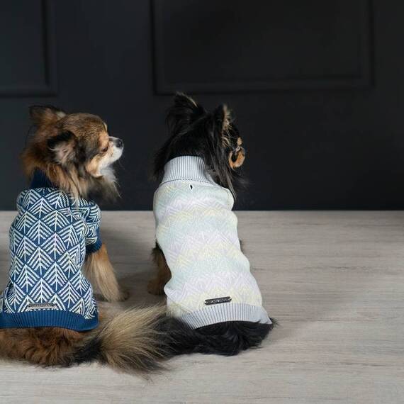 Hundepullover PULLO in blau-weiß von Labbvenn®