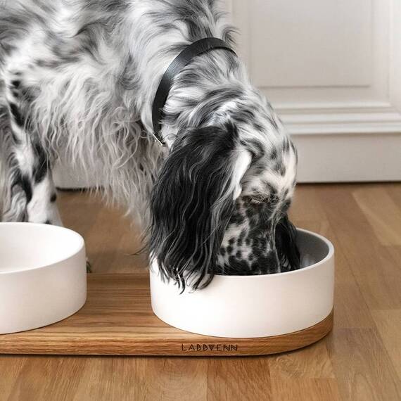 Futterstation aus Keramik und Holz VUKU weiß